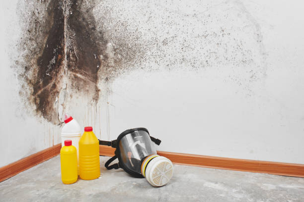 Best Mold Cleaning Services  in Lake Wazeecha, WI