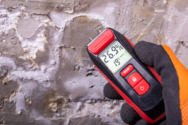 Best Toxic Mold Removal  in Lake Wazeecha, WI