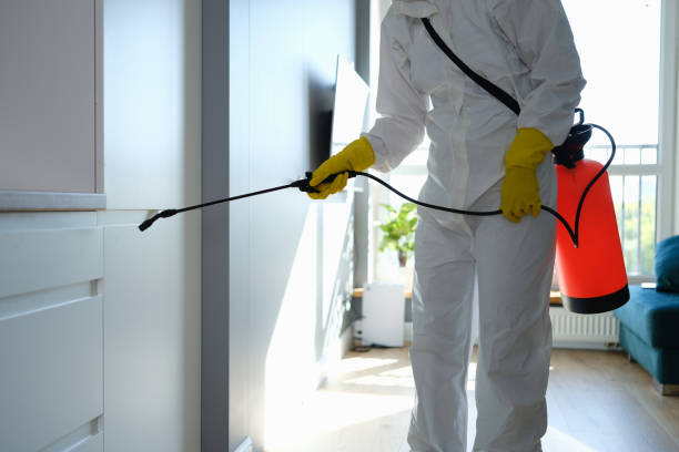 Best Commercial Mold Removal  in Lake Wazeecha, WI